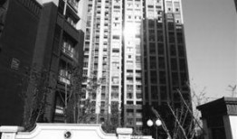 南京爆料新闻,揭秘背后真相，聚焦城市热点事件